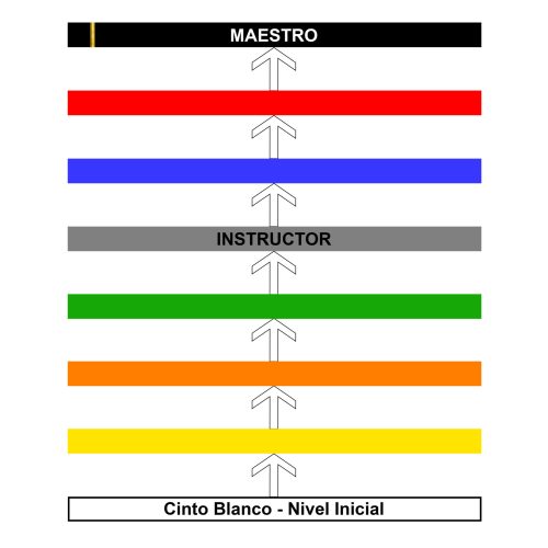 programa de certificación (imagen para sitio web)
